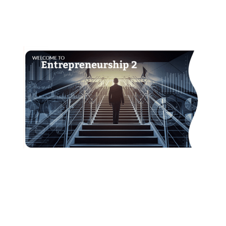 Entrepreneurship 2 (Project Based Learning)